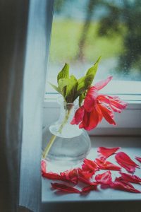 A flower wilting