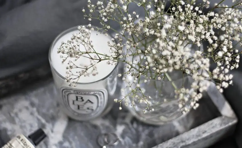 Baby's Breath Flower Meaning, Symbolism, and Colors Pansy Maiden