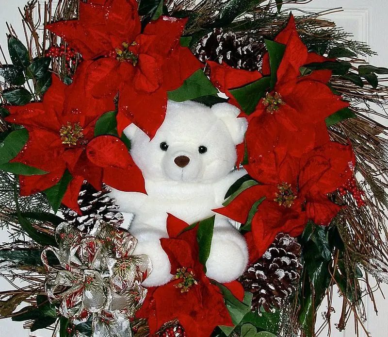 Types of Flowers to Use in your Christmas Flower Arrangement