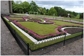 How to Care For Flowering Hedges