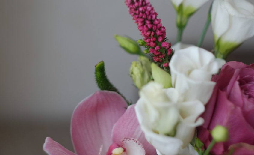 Veronica Flower Meaning, Symbolism, and Colors Pansy Maiden