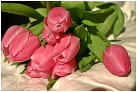 What Makes Pink Lilies Bouquets the Best Wedding Decor